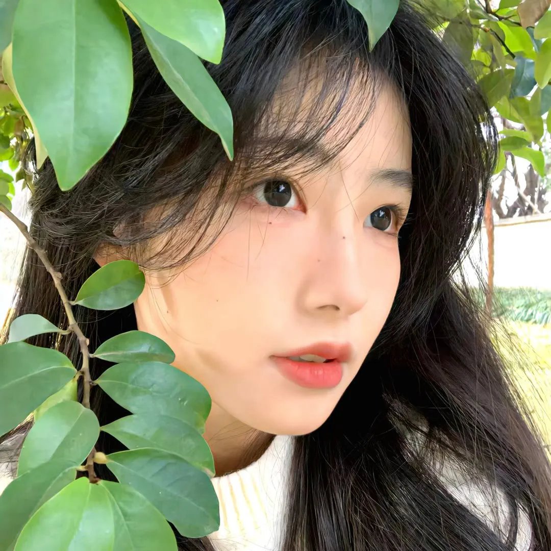 卡皮可寓言